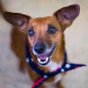 Meet your Posher, Nathan